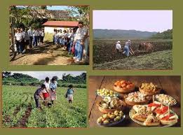 El Turismo Rural como alternativa para el Desarrollo Local